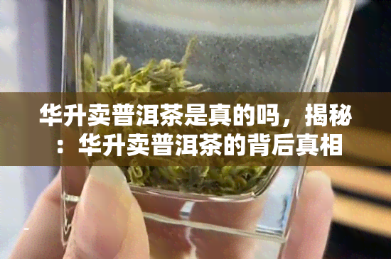 华升卖普洱茶是真的吗，揭秘：华升卖普洱茶的背后真相