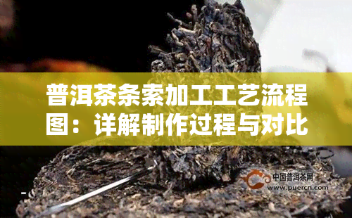 普洱茶条索加工工艺流程图：详解制作过程与对比分析