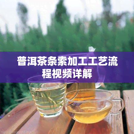 普洱茶条索加工工艺流程视频详解