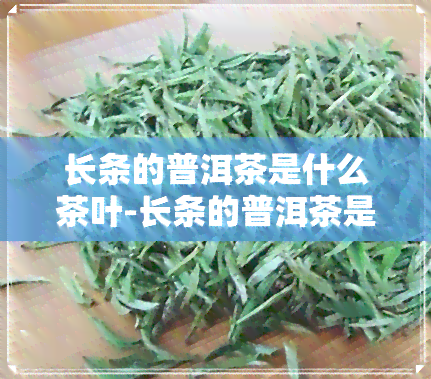 长条的普洱茶是什么茶叶-长条的普洱茶是什么茶叶做的