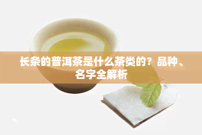 长条的普洱茶是什么茶类的？品种、名字全解析