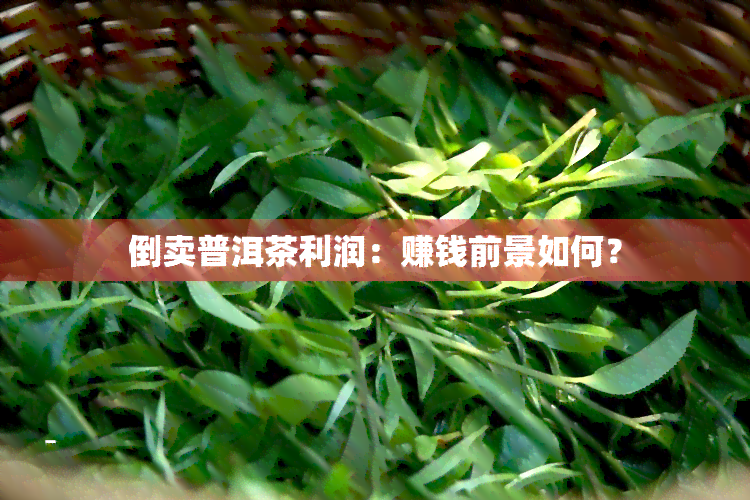 倒卖普洱茶利润：赚钱前景如何？