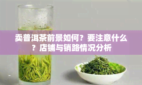 卖普洱茶前景如何？要注意什么？店铺与销路情况分析