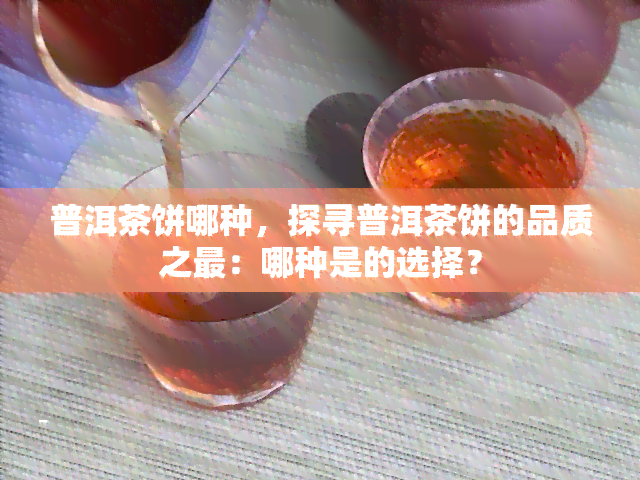 普洱茶饼哪种，探寻普洱茶饼的品质之最：哪种是的选择？