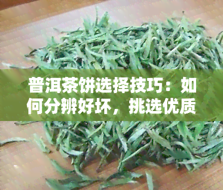 普洱茶饼选择技巧：如何分辨好坏，挑选优质茶叶？