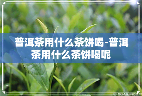 普洱茶用什么茶饼喝-普洱茶用什么茶饼喝呢