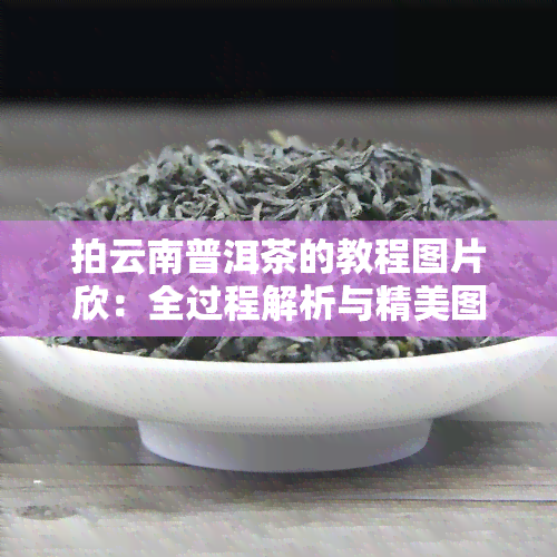 拍云南普洱茶的教程图片欣：全过程解析与精美图片大