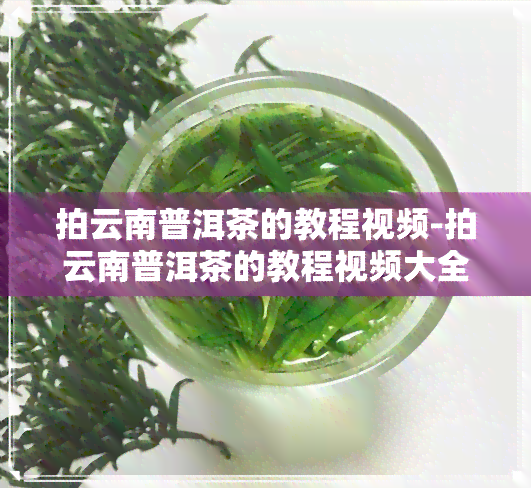 拍云南普洱茶的教程视频-拍云南普洱茶的教程视频大全