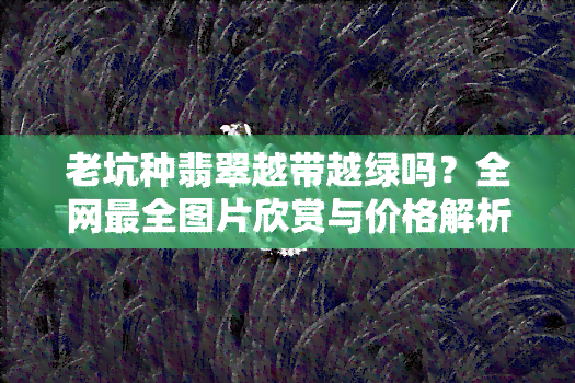 老坑种翡翠越带越绿吗？全网最全图片欣赏与价格解析！