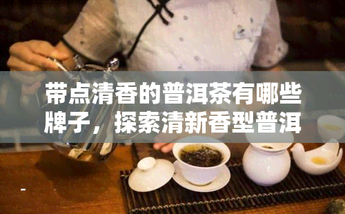 带点清香的普洱茶有哪些牌子，探索清新香型普洱茶：推荐与品尝指南