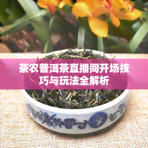 茶农普洱茶直播间开场技巧与玩法全解析