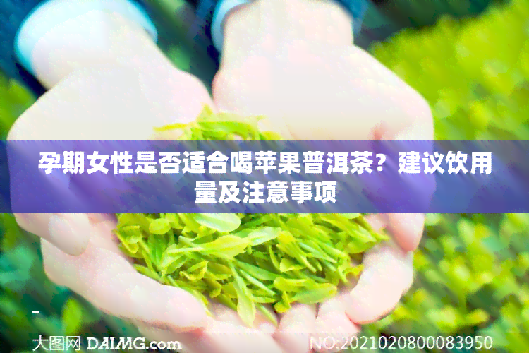 孕期女性是否适合喝苹果普洱茶？建议饮用量及注意事项