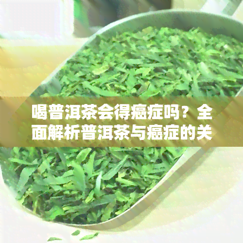 喝普洱茶会得癌症吗？全面解析普洱茶与癌症的关系