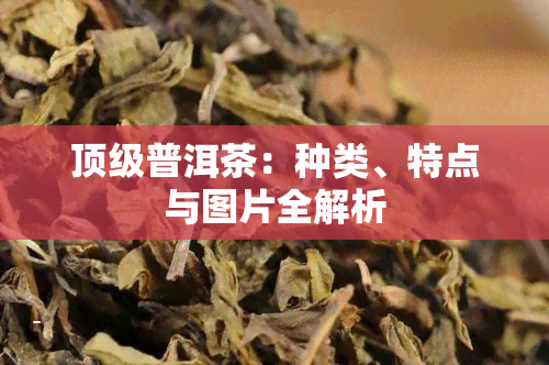 顶级普洱茶：种类、特点与图片全解析