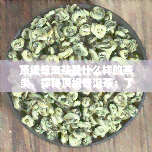 顶级普洱茶是什么样的茶类，探秘顶级普洱茶：了解这种独特的茶类