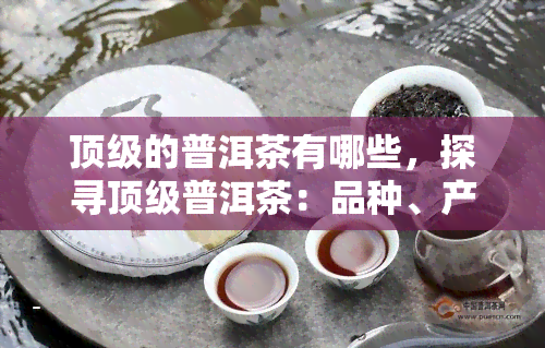 顶级的普洱茶有哪些，探寻顶级普洱茶：品种、产地与口感全面解析