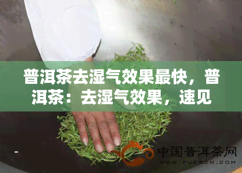 普洱茶去湿气效果最快，普洱茶：去湿气效果，速见成效！