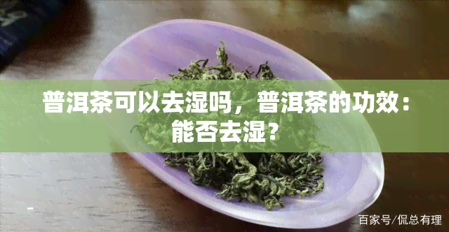 普洱茶可以去湿吗，普洱茶的功效：能否去湿？