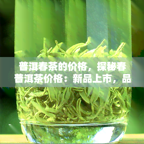 普洱春茶的价格，探秘春普洱茶价格：新品上市，品味不凡！