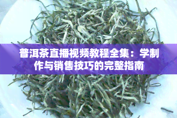 普洱茶直播视频教程全集：学制作与销售技巧的完整指南