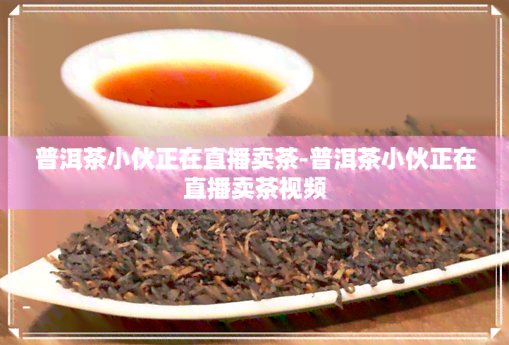 普洱茶小伙正在直播卖茶-普洱茶小伙正在直播卖茶视频