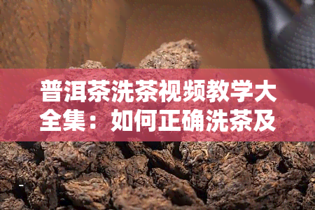 普洱茶洗茶视频教学大全集：如何正确洗茶及次数解析