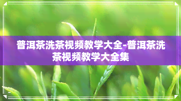 普洱茶洗茶视频教学大全-普洱茶洗茶视频教学大全集