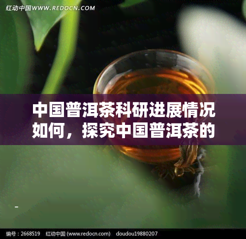 中国普洱茶科研进展情况如何，探究中国普洱茶的科研进展：最新研究动态与未来展望