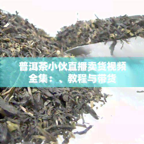 普洱茶小伙直播卖货视频全集：、教程与带货