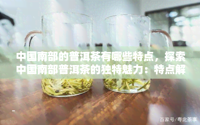 中国南部的普洱茶有哪些特点，探索中国南部普洱茶的独特魅力：特点解析