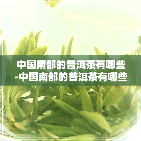 中国南部的普洱茶有哪些-中国南部的普洱茶有哪些品种