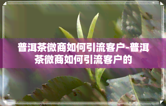 普洱茶微商如何引流客户-普洱茶微商如何引流客户的