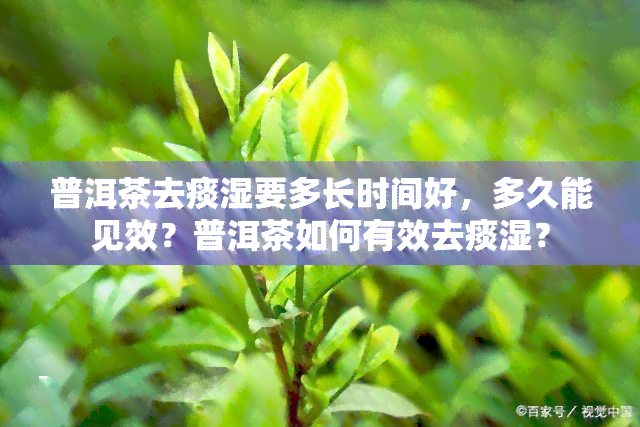 普洱茶去痰湿要多长时间好，多久能见效？普洱茶如何有效去痰湿？