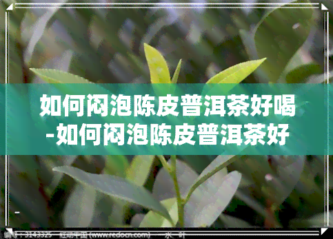 如何闷泡陈皮普洱茶好喝-如何闷泡陈皮普洱茶好喝一点