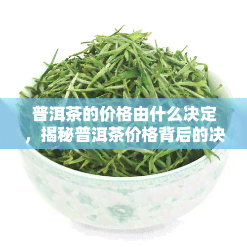 普洱茶的价格由什么决定，揭秘普洱茶价格背后的决定因素