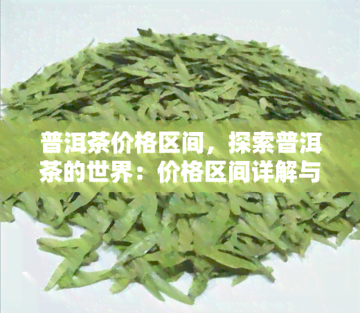 普洱茶价格区间，探索普洱茶的世界：价格区间详解与选购指南