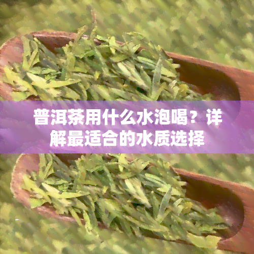 普洱茶用什么水泡喝？详解最适合的水质选择