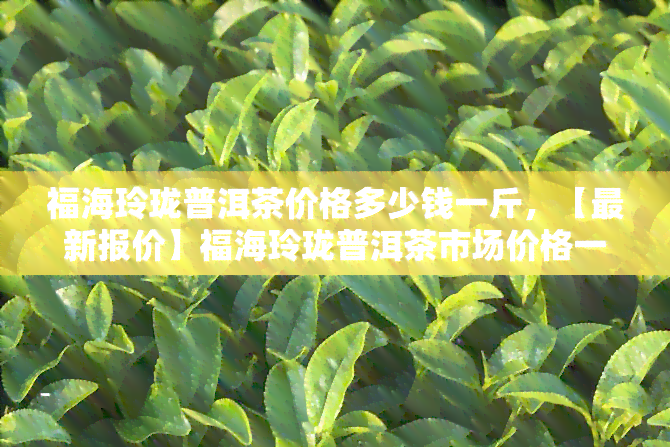 福海玲珑普洱茶价格多少钱一斤，【最新报价】福海玲珑普洱茶市场价格一览，一斤要多少钱？