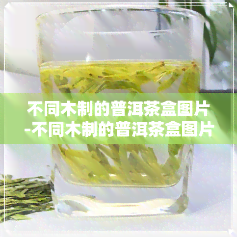 不同木制的普洱茶盒图片-不同木制的普洱茶盒图片大全