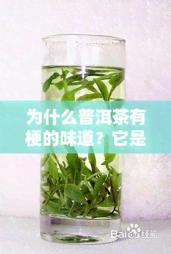 为什么普洱茶有梗的味道？它是好是坏，有何影响？