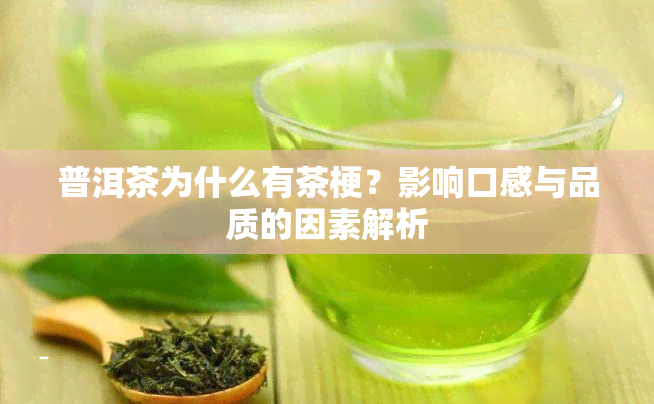 普洱茶为什么有茶梗？影响口感与品质的因素解析