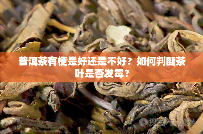 普洱茶有梗是好还是不好？如何判断茶叶是否发霉？