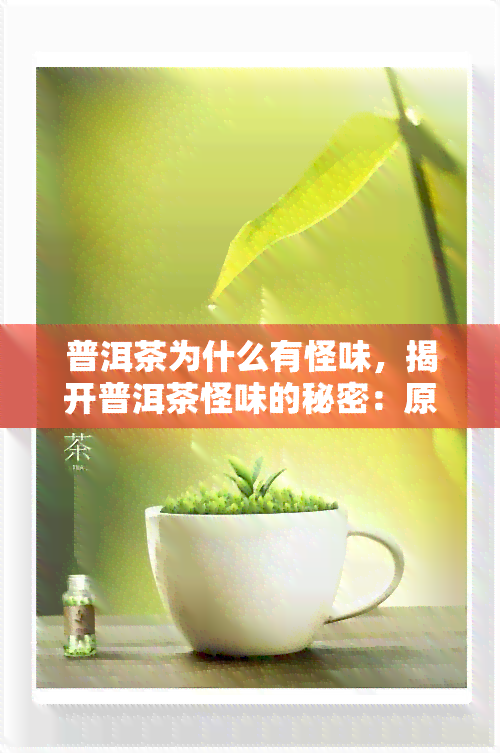 普洱茶为什么有怪味，揭开普洱茶怪味的秘密：原因解析与品鉴技巧