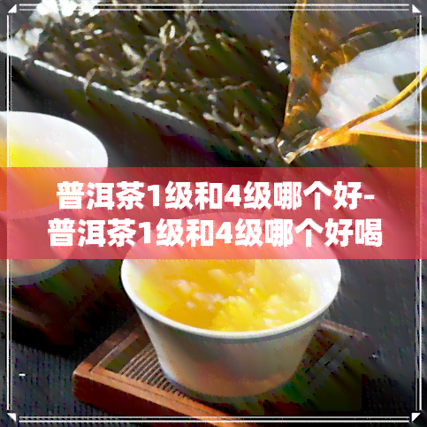 普洱茶1级和4级哪个好-普洱茶1级和4级哪个好喝