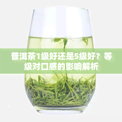 普洱茶1级好还是5级好？等级对口感的影响解析