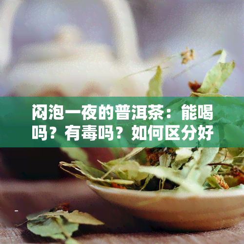 闷泡一夜的普洱茶：能喝吗？有吗？如何区分好坏及浸泡时间