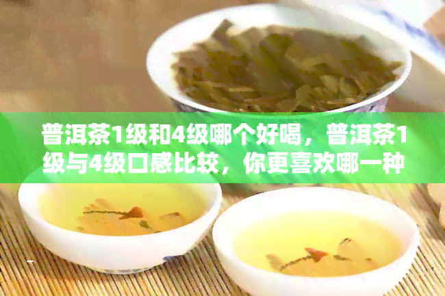 普洱茶1级和4级哪个好喝，普洱茶1级与4级口感比较，你更喜欢哪一种？