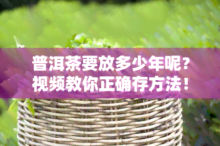 普洱茶要放多少年呢？视频教你正确存方法！