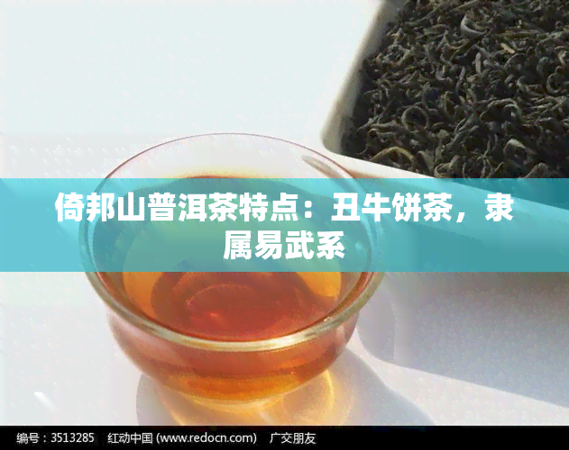 倚邦山普洱茶特点：丑牛饼茶，隶属易武系