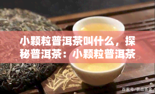 小颗粒普洱茶叫什么，探秘普洱茶：小颗粒普洱茶的名称与特点